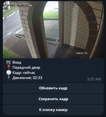 Превью камеры в Telegram-плагине BARY
